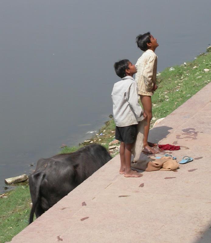 Opportunists