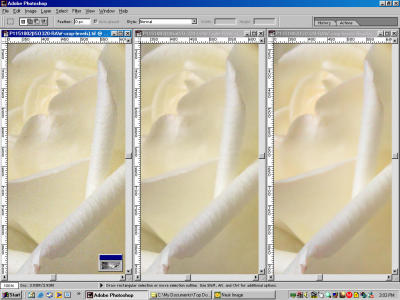 UltraISOvsNeatISO320-RAW-Levels-crop.jpg