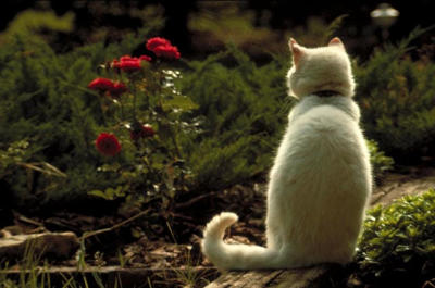 Juliet takes time to smell the roses