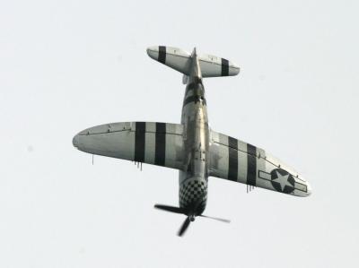 u7/fleeting_images/medium/41010558.P47_3021.jpg