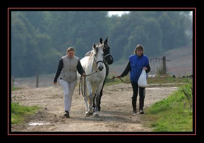 Valle de Chevreuse