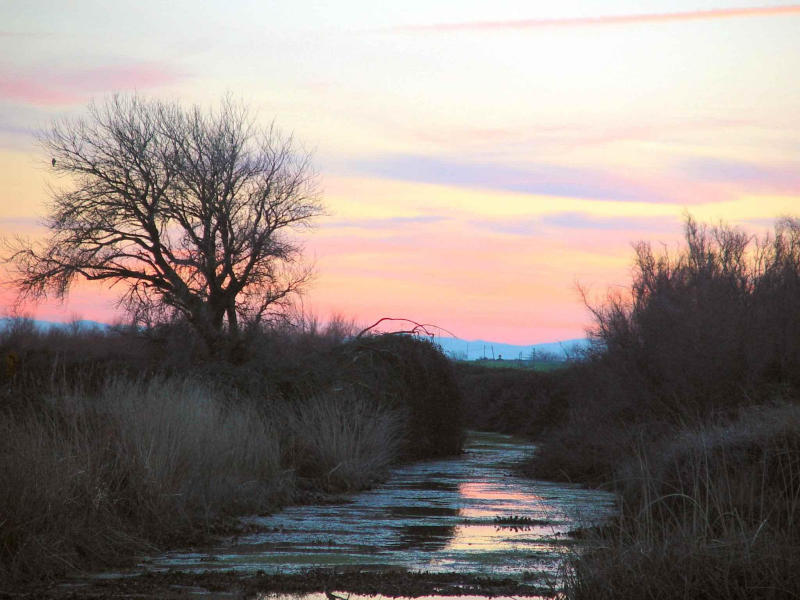 Dsc01152 Canal Sunset
