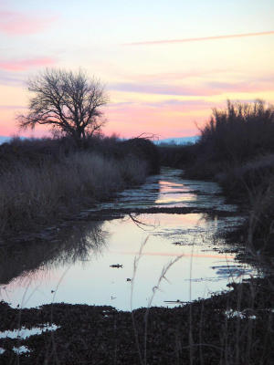 Dsc01149 canal sunset last light