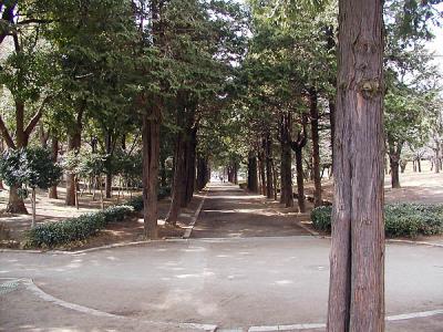 Hiratsuka Park