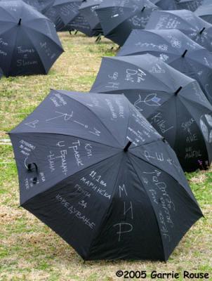 umbrellas (II)