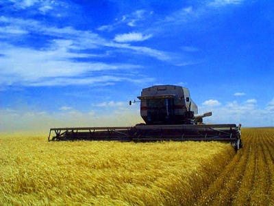 u7/gbphotos/medium/1322427.Gleanercombine.jpg