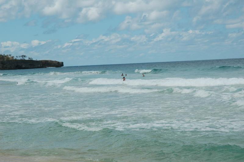DSC_2803.JPG