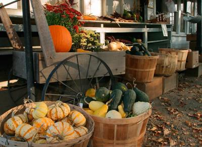Autumn produce