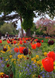 April in Paris