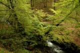 Afon Nedd Fechan near Pont Melin-fach