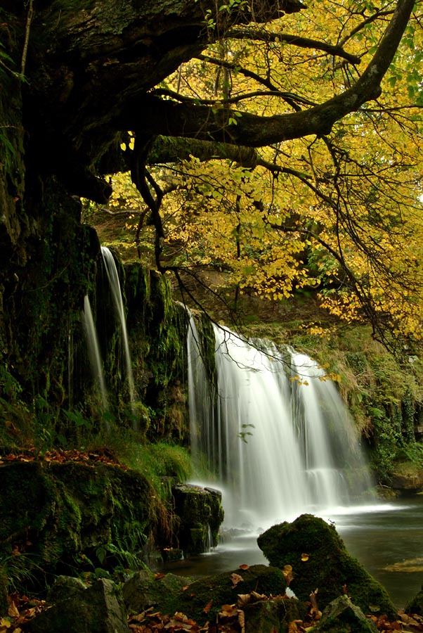 Sgwd Uchaf Ddwli, Afon Nedd Fechan