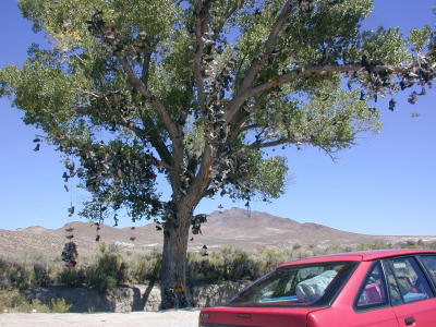 the Shoe Tree on Route 50 in Nevada