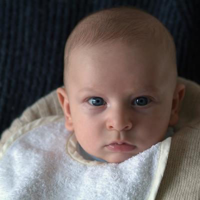 u7/giorgiopieroni/medium/41298130.0123leonardo01.jpg