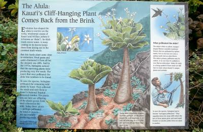 02-15-Preserving endemic plants