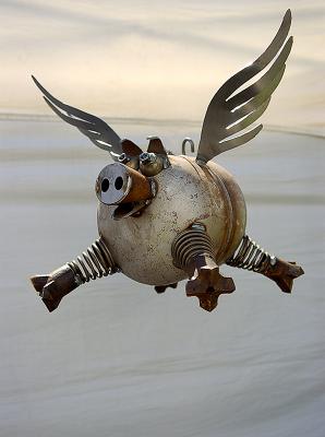 Yikes I'm Flying