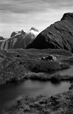 milford track