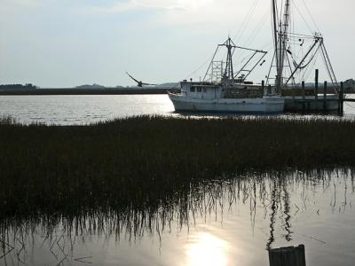 Flying Pelican 2005