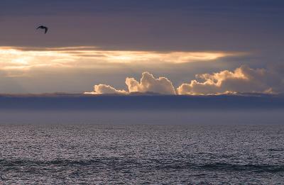 u7/haglunde/medium/41186472.Ocean_5637e4x6.jpg
