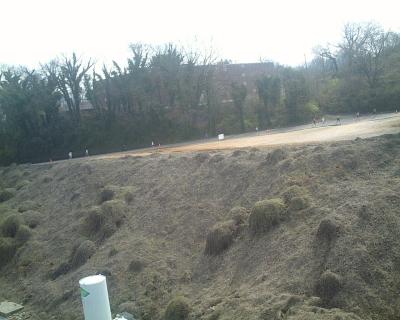 Runners in the background - Kudzu in the foreground