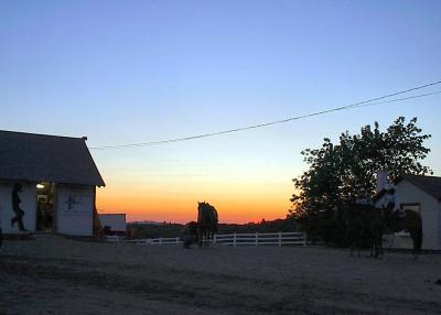 Pond Hill Ranch Rodeo