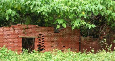 brick wall.jpg