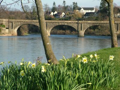 014. Springtime arrives at Kelso.JPG