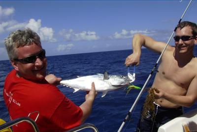 jpt fish 2.jpg