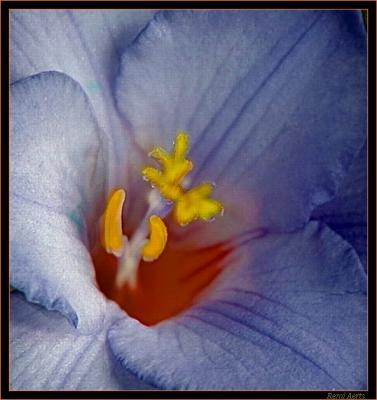 blauwe