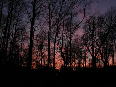 PC220129.JPG