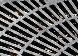 A Great Grate!