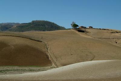 DSCF3890.jpg
