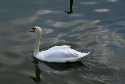 DSCF5149.jpg