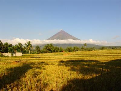 Mayon Volcano