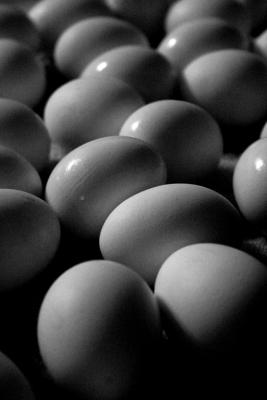 Eggs, sans color