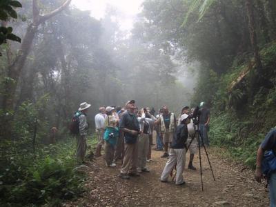 group in cloud forest