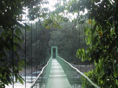 Selva Verde bridge