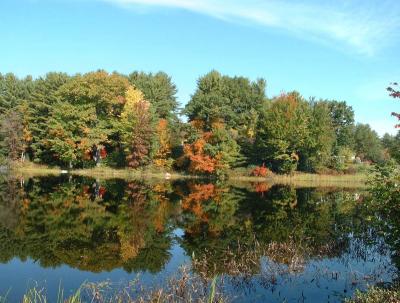 reflections 1200.jpg