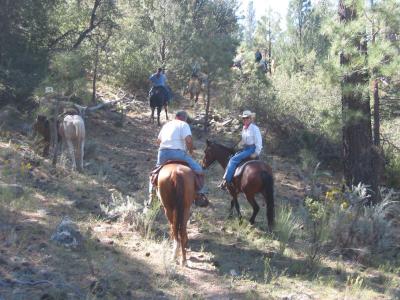 Riders on the trail