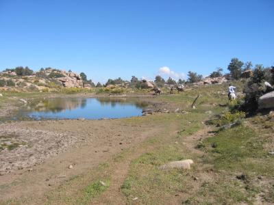 Lago