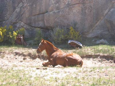 Siesta time