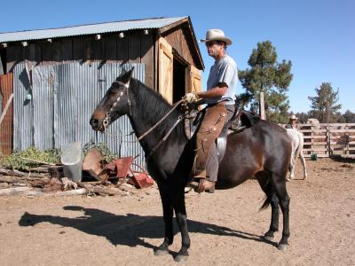 Horse Tour of Baja Norte Oct 2003