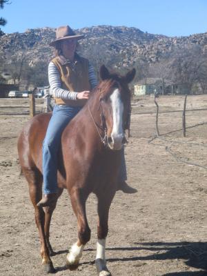 New Horse, Mojave