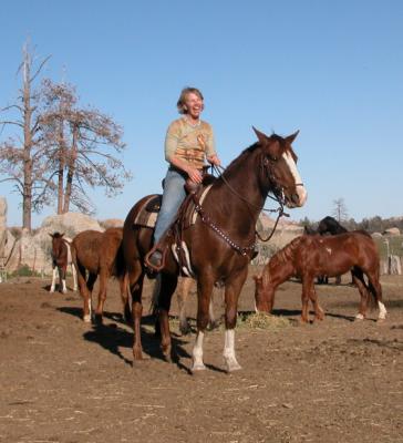 Mojave 3-12-05