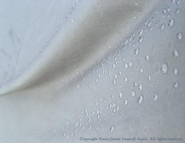 Dew drops on tent