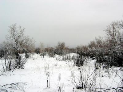 New Mexico Winter