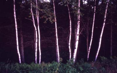 Adirondacks89.jpg