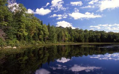 Adirondacks90.jpg