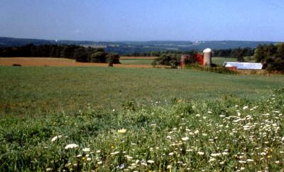 Home - Hoy Rd., Cortland, NY
