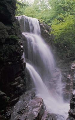 Falls in TN