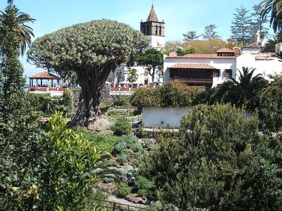 overview of the Dragon Tree Park
